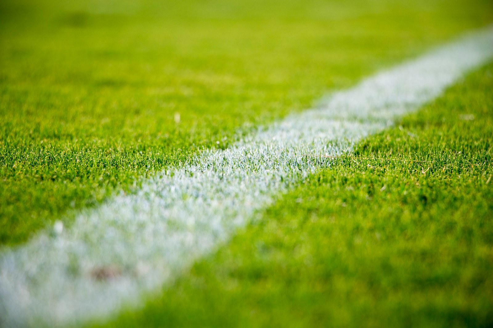 Football pitch - Jersey Store Kolhapur